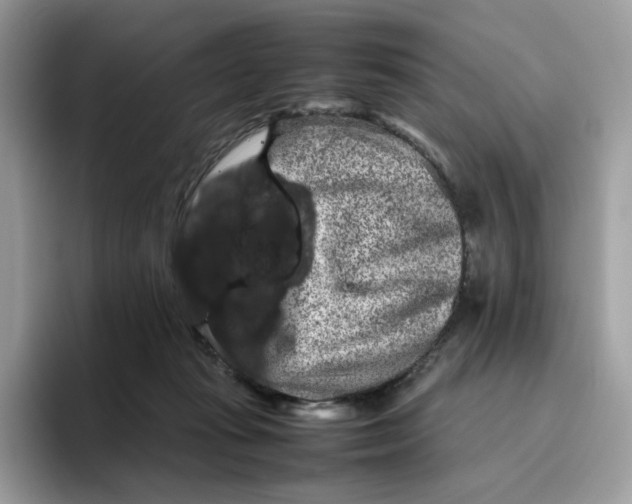 X0000095940269200801251116