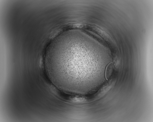 X0000095940270200801251116