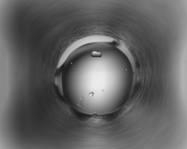 X0000095940280200801251116