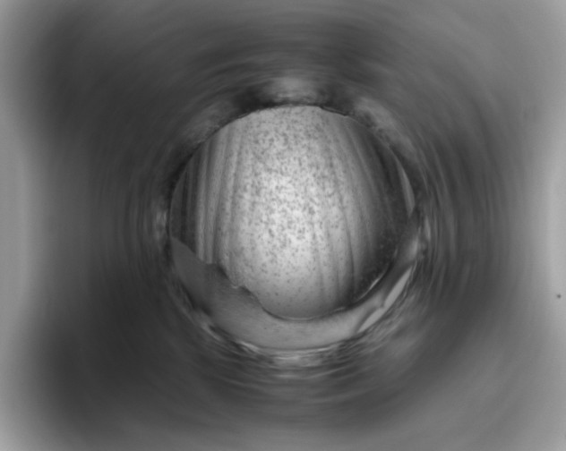 X0000095940281200801251116