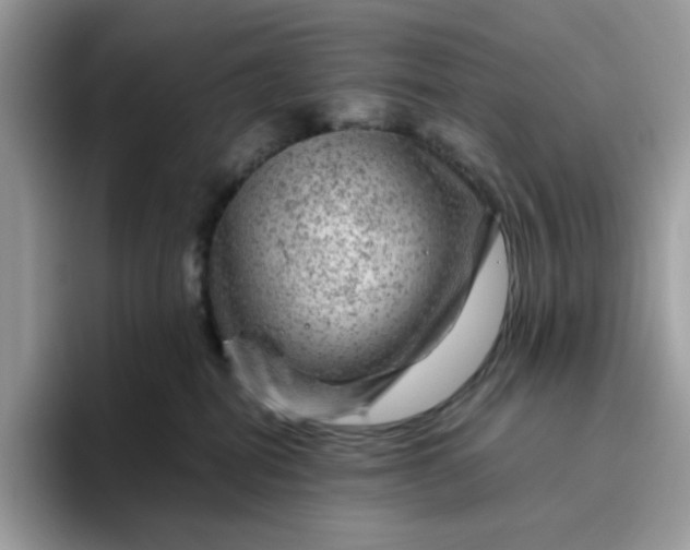 X0000095940282200801251116