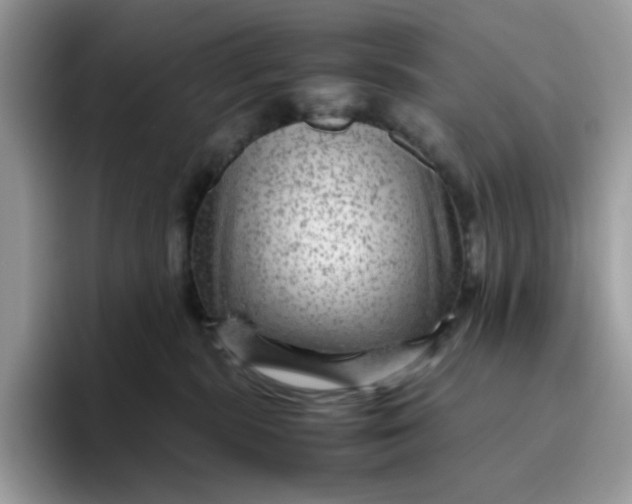 X0000095940283200801251116