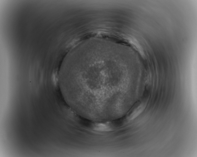 X0000095940285200801251116