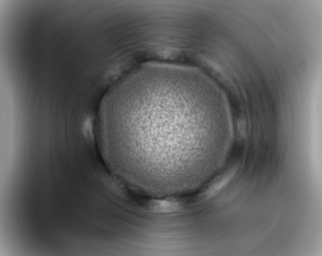 X0000095940286200801251116