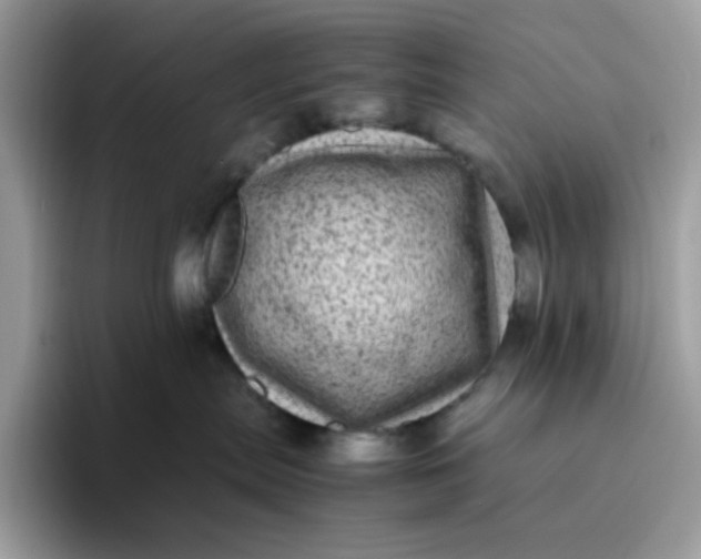 X0000095940287200801251116