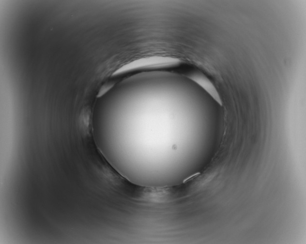 X0000095940288200801251116