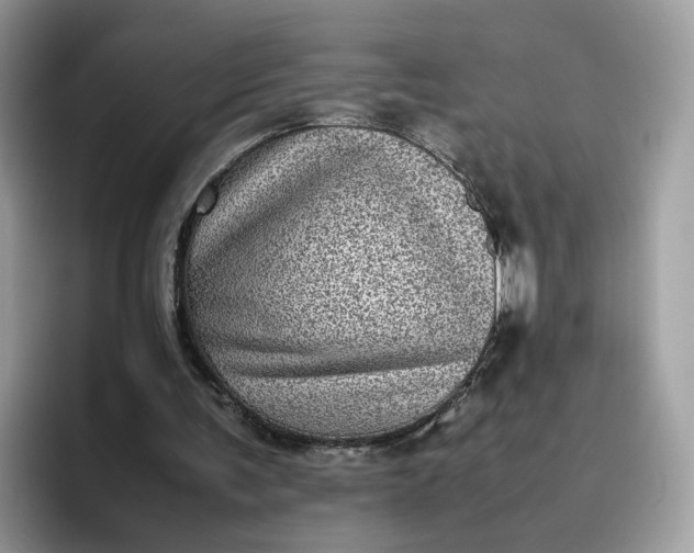 X0000095940291200801251115