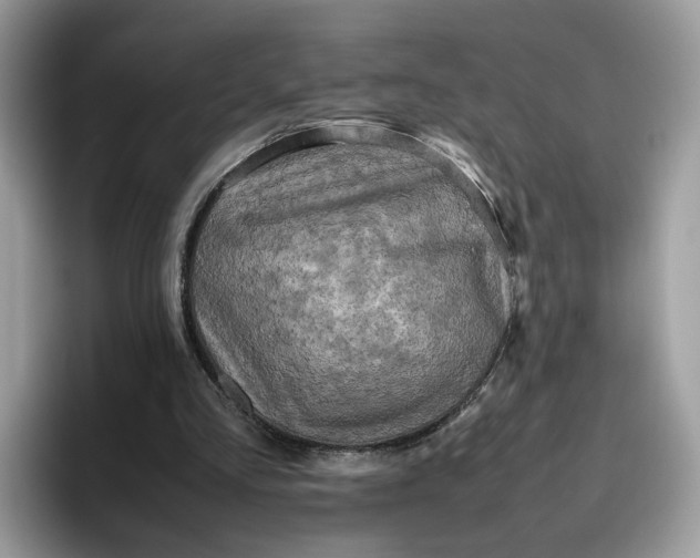 X0000095940293200801251115