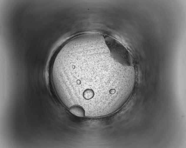 X0000095940294200801251115