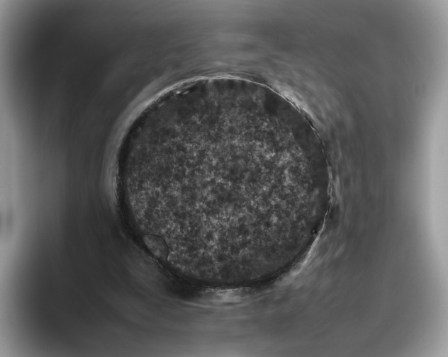 X0000095940295200801251115