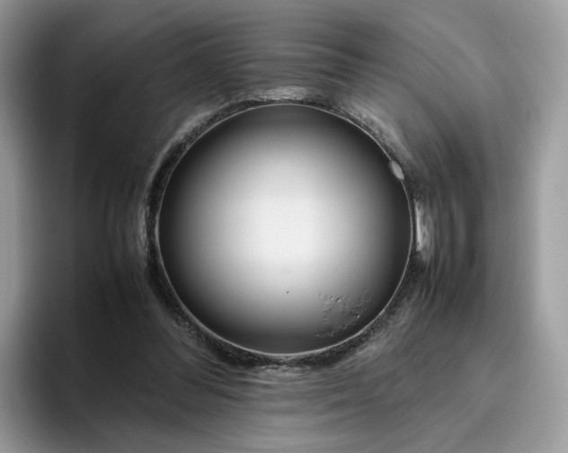 X0000095940300200801251115