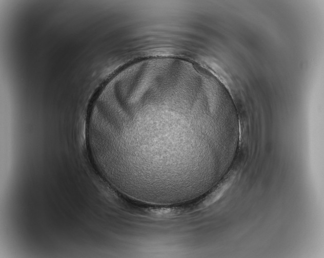 X0000095940301200801251115