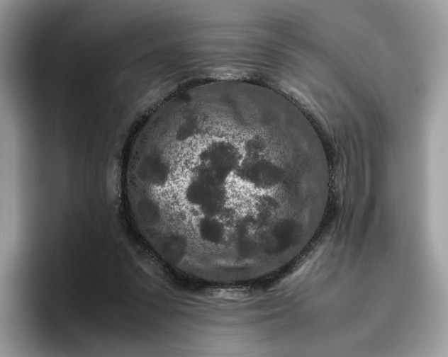 X0000095940303200801251115