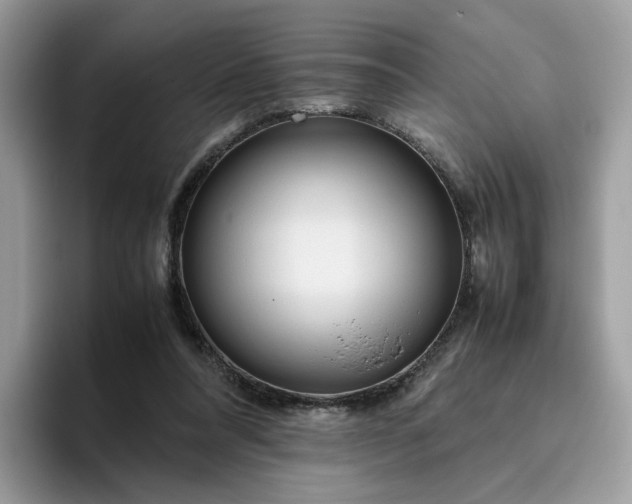 X0000095940304200801251115