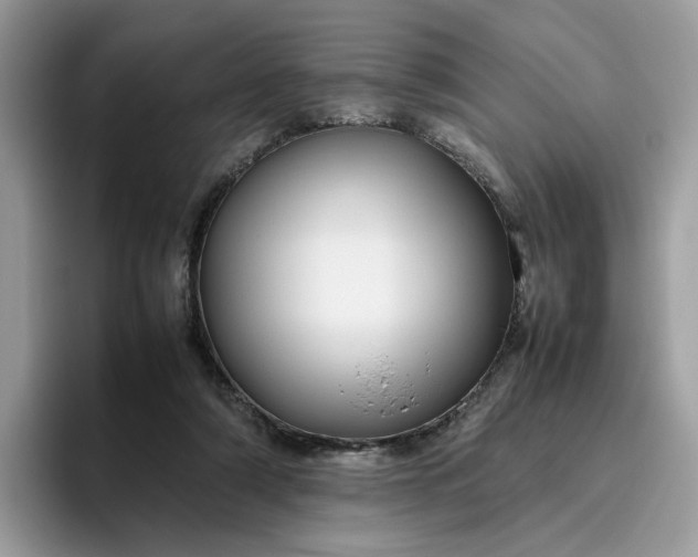 X0000095940306200801251115