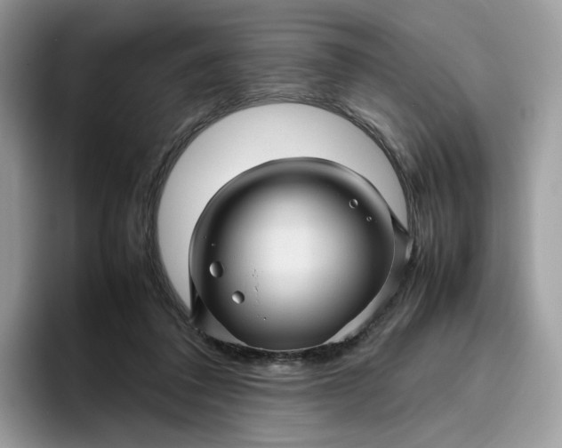 X0000095940308200801251115