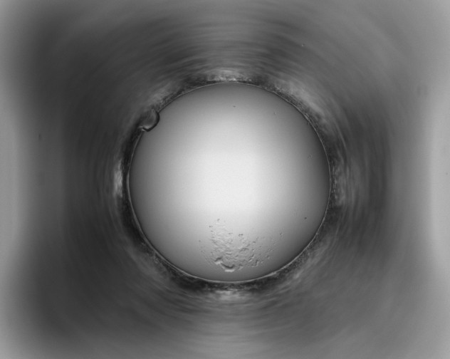 X0000095940310200801251115