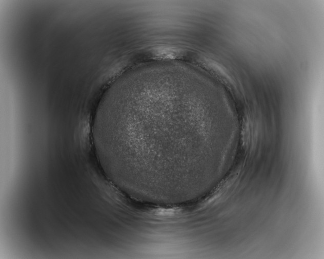 X0000095940314200801251115