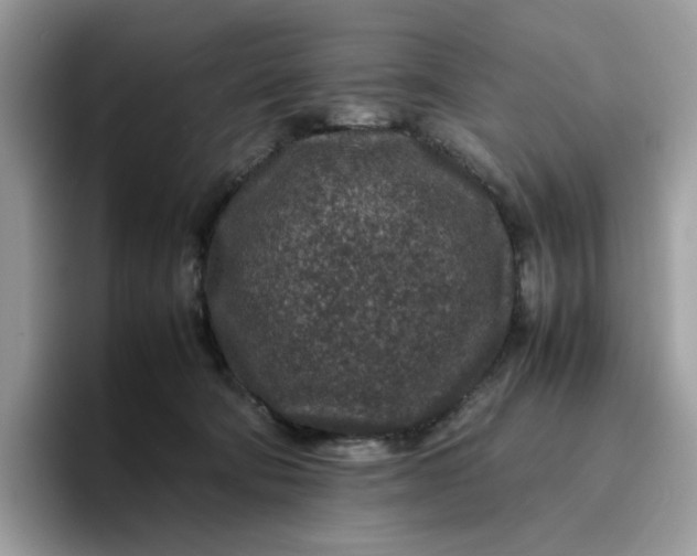 X0000095940322200801251115