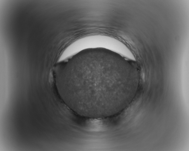 X0000095940325200801251115