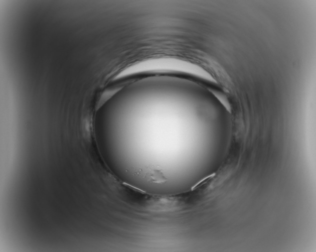 X0000095940329200801251115