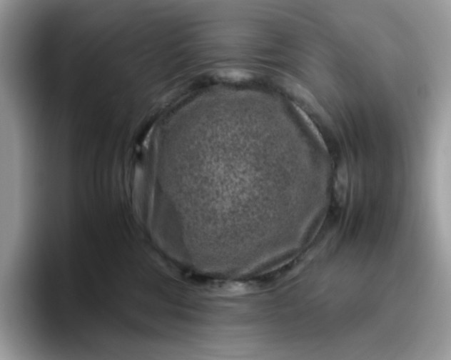 X0000095940330200801251115