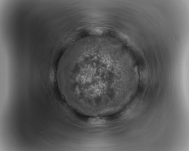 X0000095940331200801251115