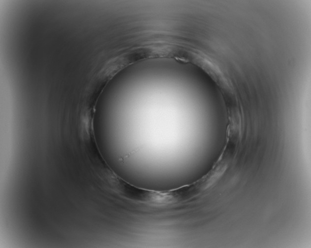 X0000095940333200801251115