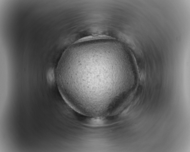 X0000095940335200801251115