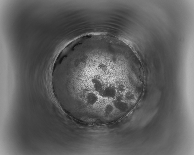 X0000095940337200801251114