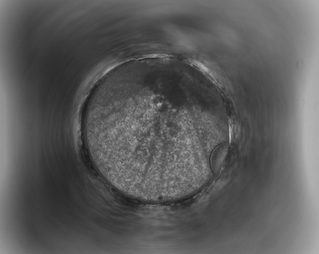 X0000095940339200801251114