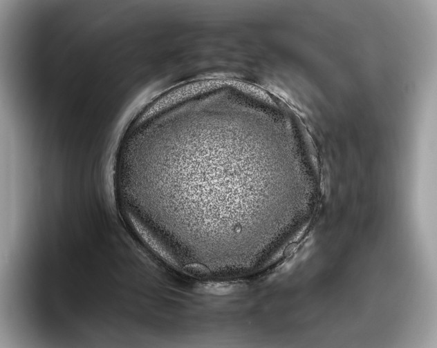 X0000095940341200801251114