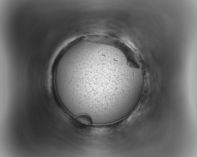 X0000095940342200801251114