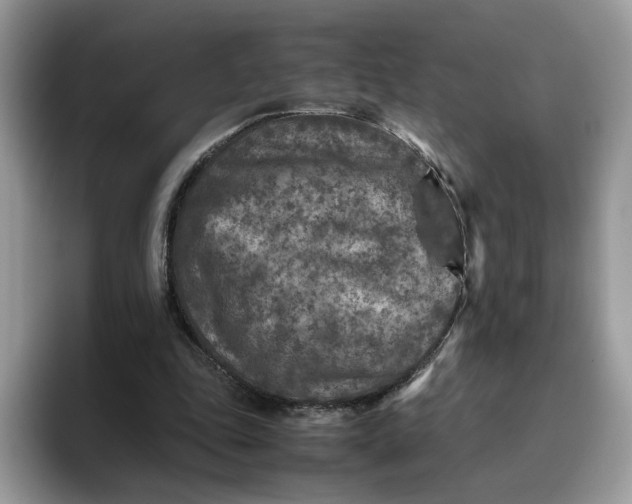 X0000095940343200801251114