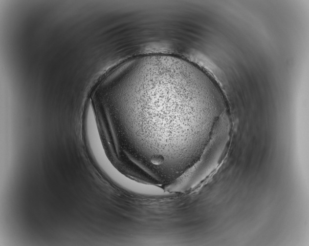 X0000095940345200801251114