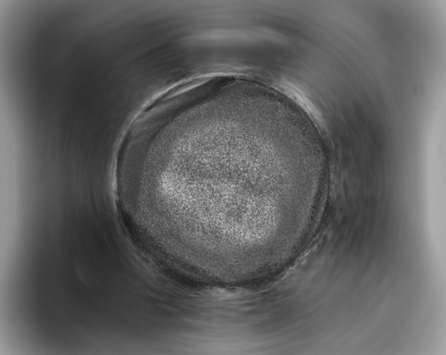 X0000095940346200801251114