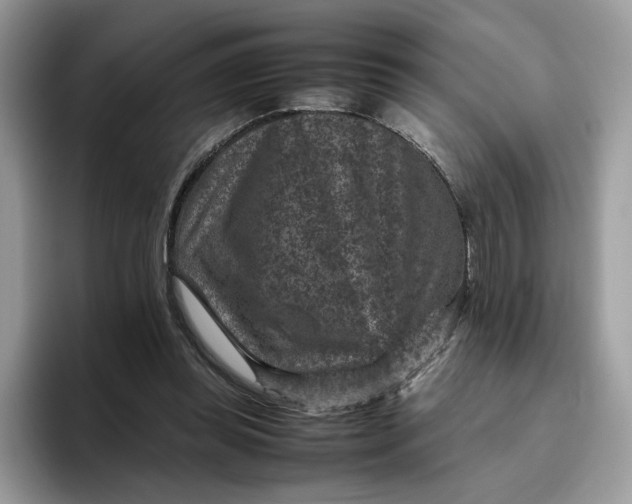 X0000095940349200801251114