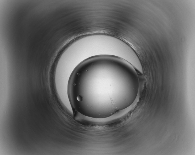 X0000095940350200801251114