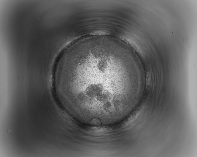 X0000095940351200801251114