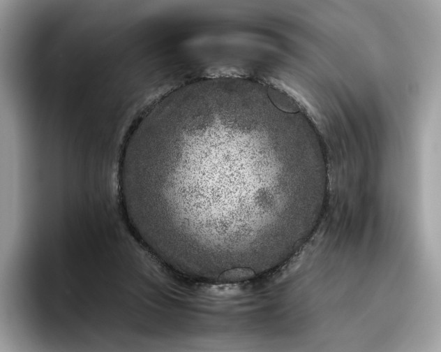 X0000095940353200801251114