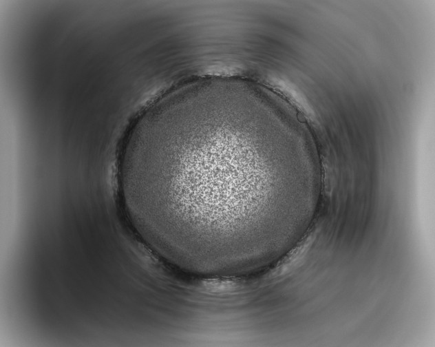 X0000095940354200801251114