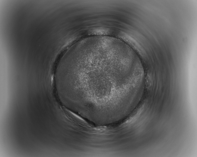 X0000095940355200801251114