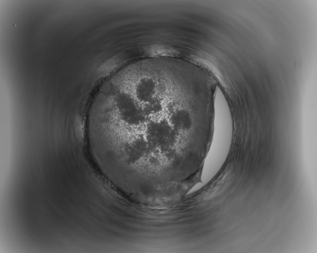 X0000095940357200801251114