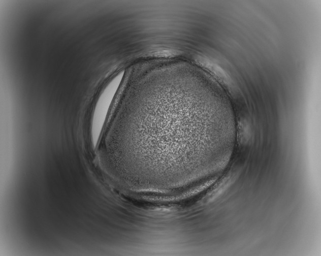 X0000095940358200801251114