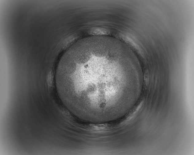 X0000095940359200801251114