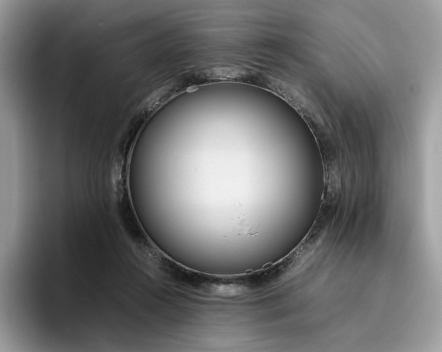 X0000095940360200801251114