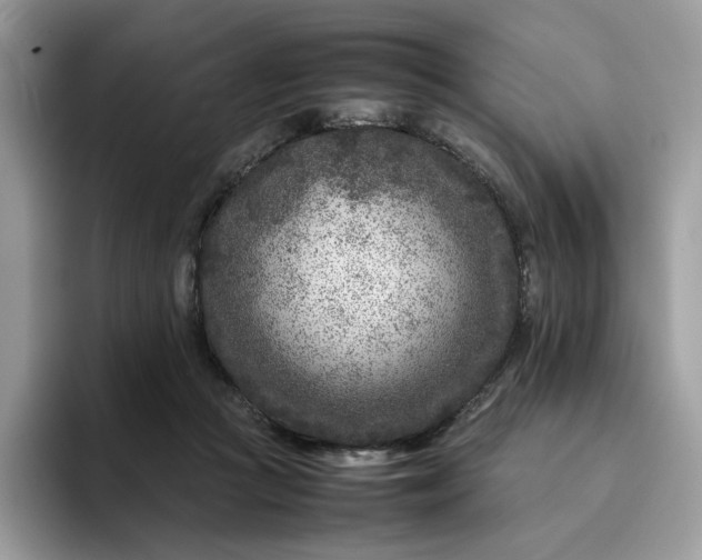 X0000095940361200801251114