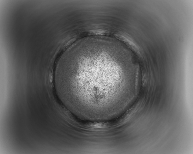 X0000095940365200801251114