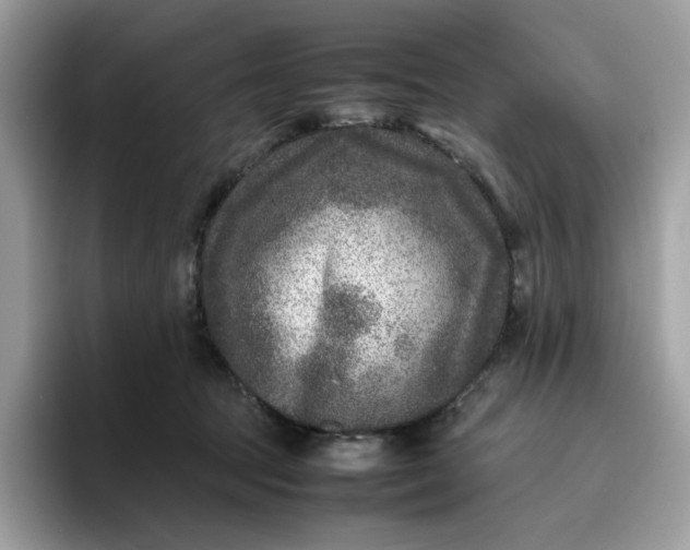 X0000095940369200801251115