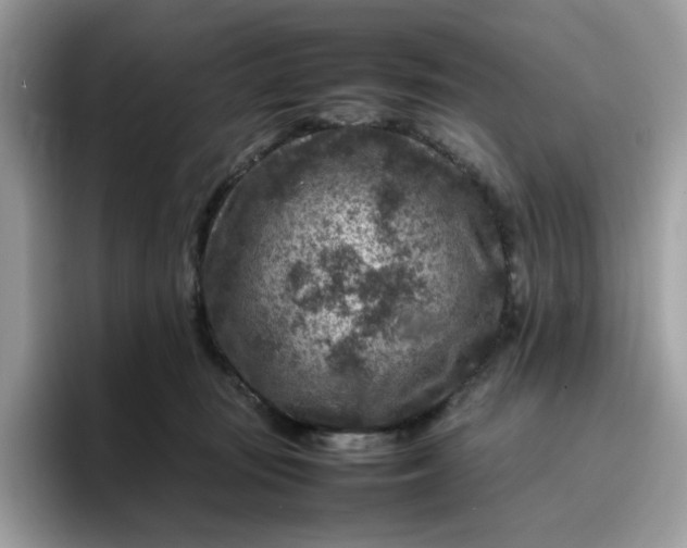 X0000095940371200801251115